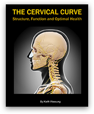 the-cervical-curve